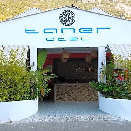 Taner 3*